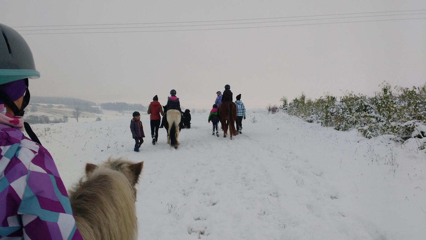 Pferdewanderung im Schnee